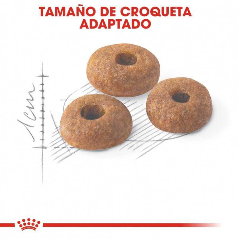 Royal Canin Fit 32 gatos adultos, 2 kg. Alimento para gatos al mejor precio