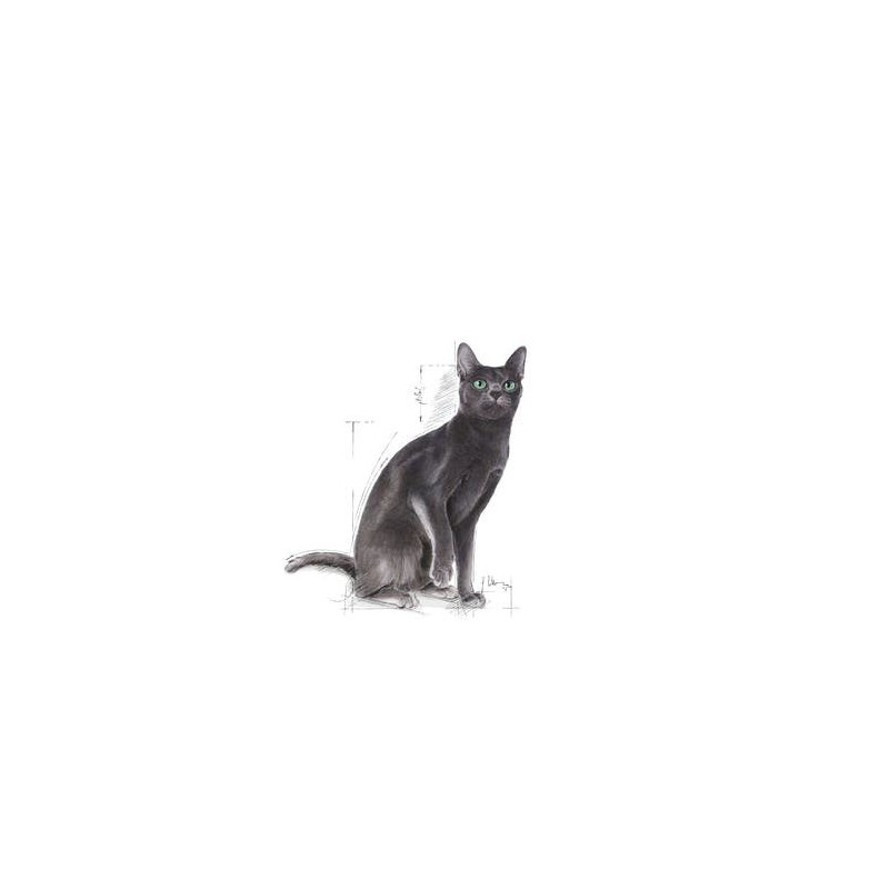 Royal Canin Sterilised (Esterilizado) Gato Adulto