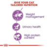 Royal Canin Sterilised (Esterilizado) Gato Adulto