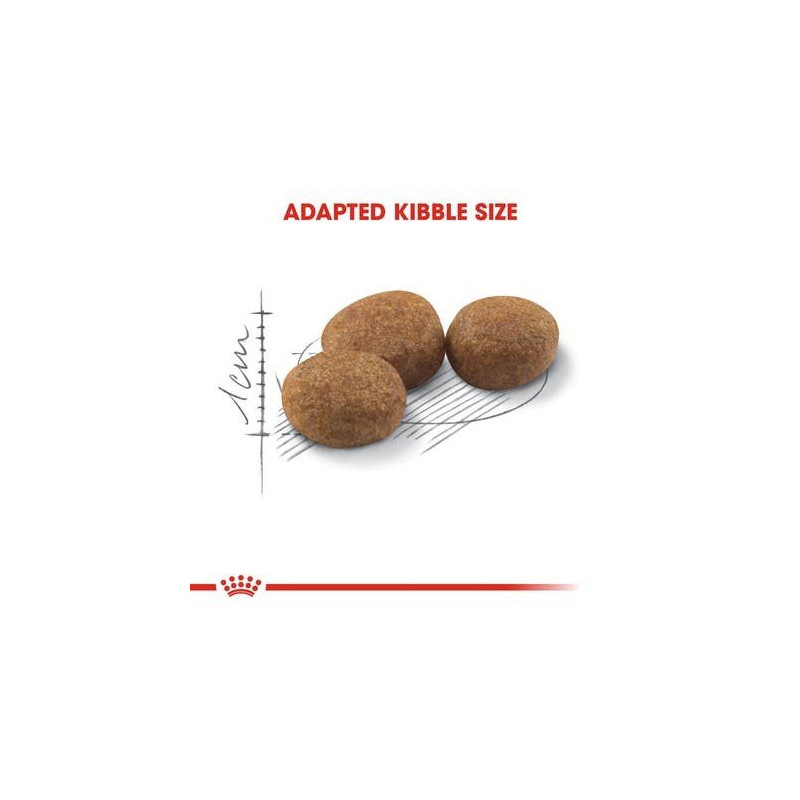 Royal Canin Sterilised (Esterilizado) Gato Adulto