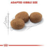 Royal Canin Sterilised (Esterilizado) Gato Adulto