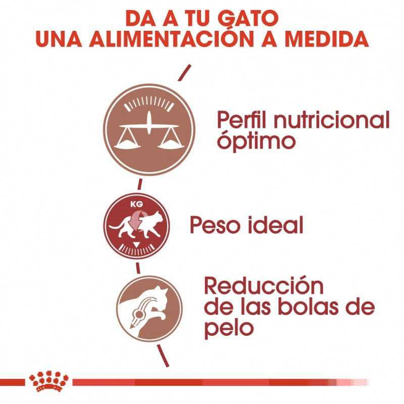 Royal Canin Fit 32 gatos adultos, 2 kg. Alimento para gatos al mejor precio