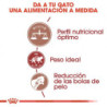 Royal Canin Fit 32 gatos adultos, 2 kg. Alimento para gatos al mejor precio