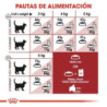 Royal Canin Fit 32 gatos adultos, 2 kg. Alimento para gatos al mejor precio