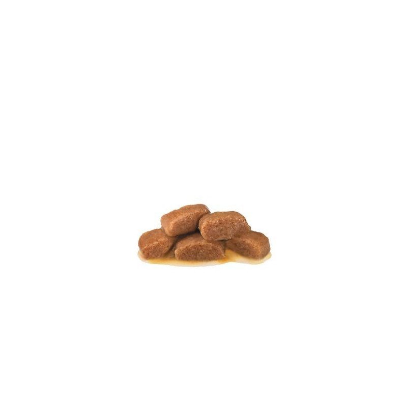 Royal Canin Gastrointestinal Húmedo Gato, 85 gr