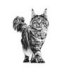 Royal Canin Gastrointestinal Húmedo Gato, 85 gr