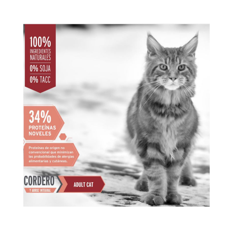 Old Prince Super Premium Gatos Adultos, Cordero y Arroz Integral