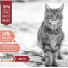 Old Prince Super Premium Gatos Adultos, Cordero y Arroz Integral