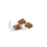 Royal Canin Kitten (Gatitos cachorros), 2 kg. Alimento para gatos al mejor precio