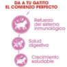 Royal Canin Kitten (Gatitos cachorros), 2 kg. Alimento para gatos al mejor precio