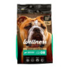 Wellness Control de Peso, todas las Razas, sabor a Salmón, 2,5kg