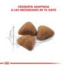 Royal Canin gatos Indoor (maduros +7 años), 1,5 kg. Alimento para gatos al mejor precio
