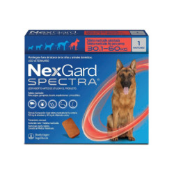 Nexgard Spectra, desparasitante interno y externo, 1 Tableta masticable, de 30.1 - 60 Kg