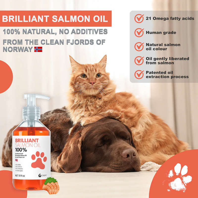 Brilliant, Aceite de Salmón Natural, Perros y Gatos, 1 Litro