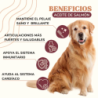 Bravery Care Aceite de Salmón natural, Cuidado Articular, 500 ml