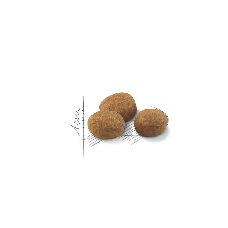 Royal Canin Sterilised 7+(Esterilizado), Gato Senior, 1.5kg