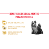 Royal Canin Yorkshire Terrier (Yorkshire Terrier adulto), 1,5 kg. Comida para perros al mejor precio
