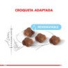 Royal Canin Mother and Baby Cat (Madres y gatitos), 2 kg. Alimento para gatos al mejor precio