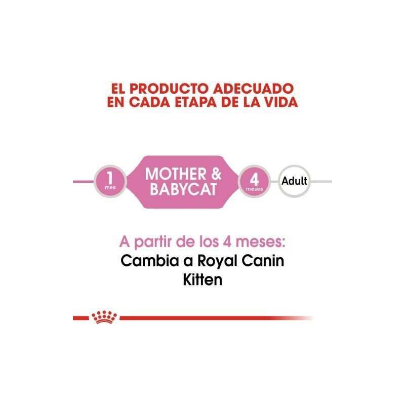 Royal Canin Mother and Baby Cat (Madres y gatitos), 2 kg. Alimento para gatos al mejor precio