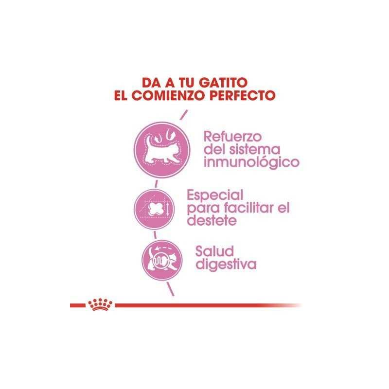 Royal Canin Mother and Baby Cat (Madres y gatitos), 2 kg. Alimento para gatos al mejor precio