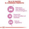 Royal Canin Mother and Baby Cat (Madres y gatitos), 2 kg. Alimento para gatos al mejor precio