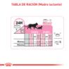 Royal Canin Mother and Baby Cat (Madres y gatitos), 2 kg. Alimento para gatos al mejor precio